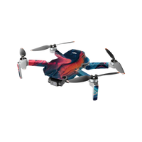 DJI Mini 2 Skins & Wraps