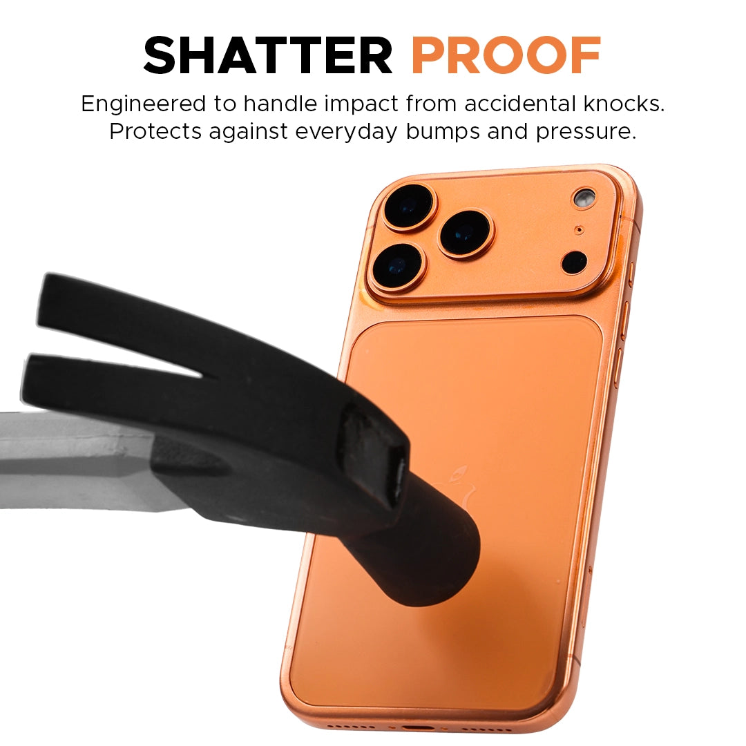 iPhone 17 Pro Max Camera Plateau & Back Panel Protector