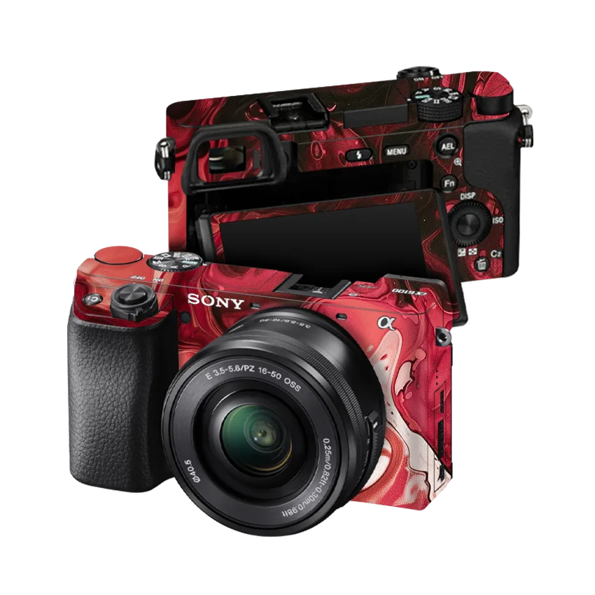 Sony Alpha 6100 Skins & Wraps