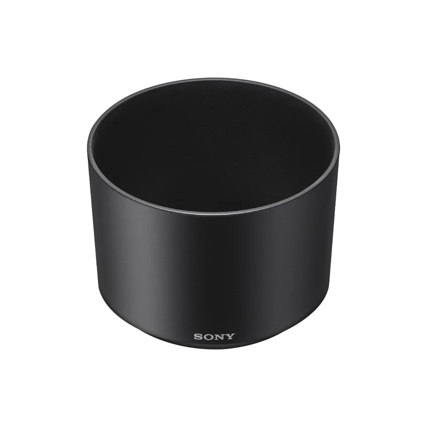 Sony SEL 55210 (ALC-SH115) Skins & Wraps